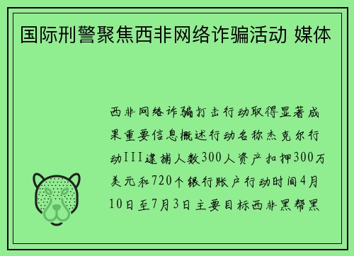 国际刑警聚焦西非网络诈骗活动 媒体