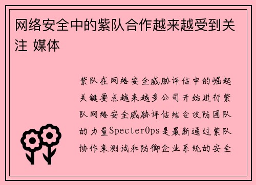 网络安全中的紫队合作越来越受到关注 媒体